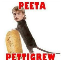 Haha Harry Potter and Hunger Games mix More