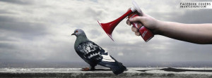 Alarming A Pigeon Facebook Covers