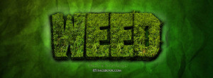 Trippy Weed Graphics Code Ments Pictures Kootation