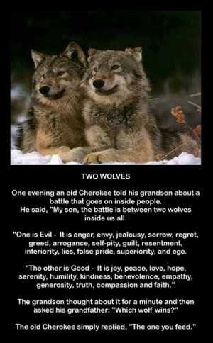 Two Wolves (2)