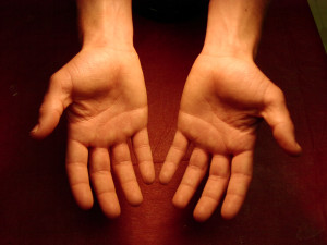 Imagen de manos de humanos , con una dimensiones de 1600x1200, tipo ...
