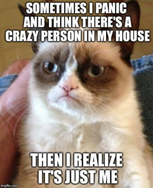 Top 40 Funny Grumpy cat Pictures #Frozen #Funny