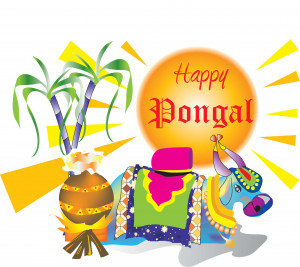 Lovely Pangal festival celebration wallpaper in HD