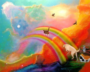 Just this side of heaven is a place called Rainbow Bridge.