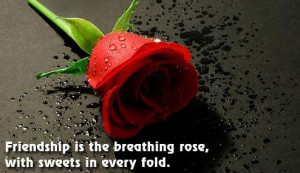 Top 10 Best Happy Rose Day Quotes for Friends in English 2015