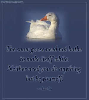 The Snow Goose Need Not Bathe To Make Itself White