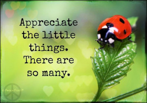 Little Things