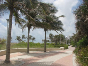 Thread: Miami Beach Boardwalk Renovations