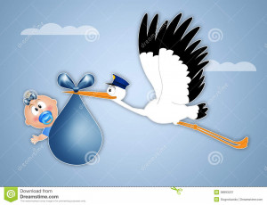Stork Delivering Baby Photo...