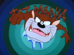 Taz Mania Images Pictures