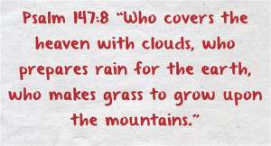 Luke 8:24 “And they went and woke him, saying, “Master, Master, we ...