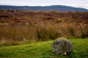 Dragonfly In Amber Quotes | book quotes_The following quotes are ...