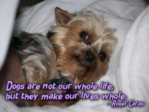 Best Dog Image Quotes And Sayings