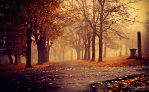 Morning Park Autumn-nature scenery wallpapers