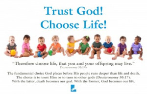 choose life deuteronomy 30 19 the word choice in connection with life ...