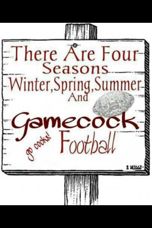 Football, Gamecock Fans, Gamecock Baby, Carolina Gamecocks Quotes ...