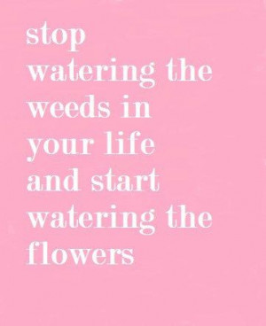 This Weekend~Easy Weekend Activity~Stop Watering the Weeds | Because ...