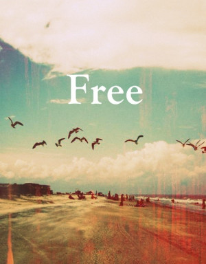 away, free, life, nature, photography, phrase, phrases, quote, quotes ...