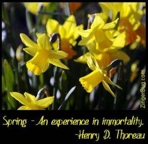 Glitter Graphic Comment: Spring Thoreau Quote