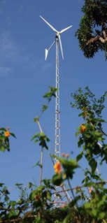 We have electrified two rural Indian villages, Chakli and Ramsar, in