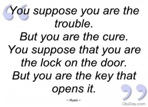 You Are Trouble Quotes