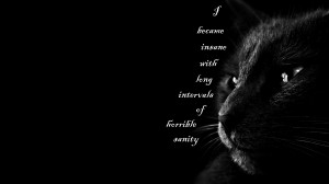 Edgar Allen Poe motivational inspirational love life quotes sayings ...