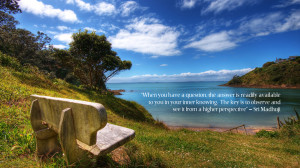 Already have an account? Log in now