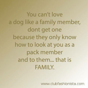 dogs #love #family #QOTD #quotes #quote