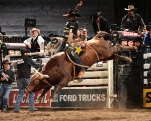 ... riding bullrider rodeo western cowboy extreme cow (14)_JPG wallpaper