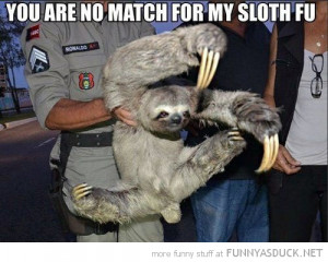 BLOG - Funny Sloth
