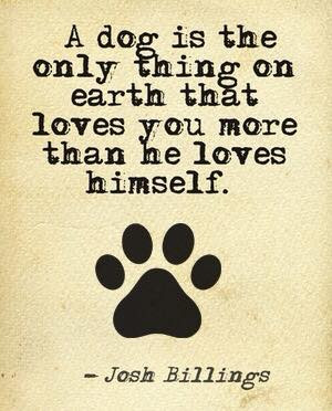Heartwarming Dog Quotes!