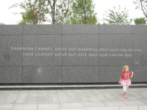 Martin Luther King quotations: Darkness cannot drive out darkness