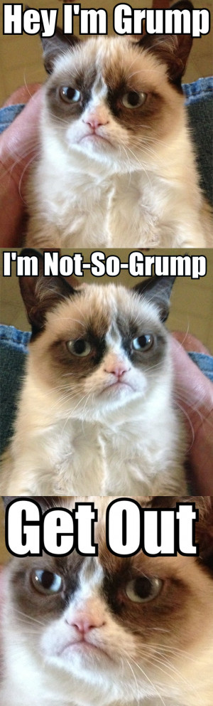 Grumpy Cat -Two Grumpy Cats?