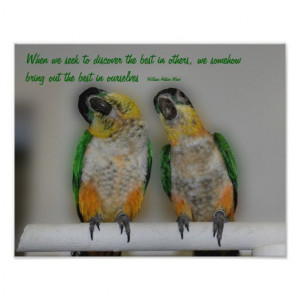 Cute Parrots Inspirational Quote Poster