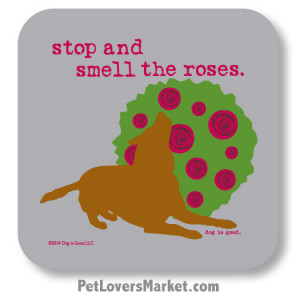 Coasters: “stop and smell the roses”. Coasters with Funny Dog ...