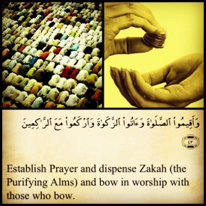 islamic-quotes:Zakah (alms)