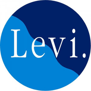 Pin Levis Logo on Super-Cars.Club