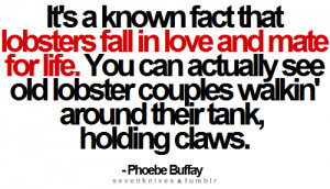 sevenknives.tumblr.com#Phoebe Buffay #Quotes