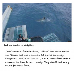 Swimming With Dolphins Quote