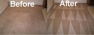 Shiny Carpet Cleaning Serves you the best service in Washington DC ...