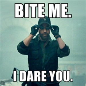 Funny Expendables 2 Memes (11 Pics)