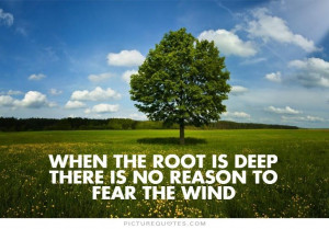 When Is The Reason There No Fear Root To Deep Wind