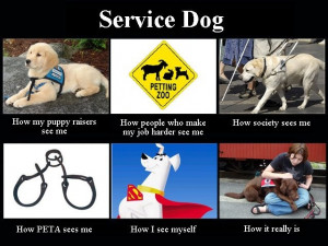 service dogs - I like this take on that whole 