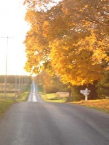 Music Appreciation Lesson