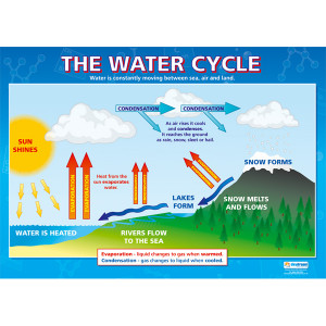 The-water-cycle-wall-chart