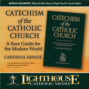 catholic church a sure guide cardinal arinze francis cardinal arinze ...