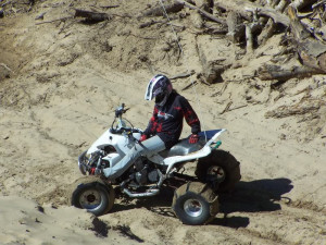 Quad Bunny's (girls Riding Quads)