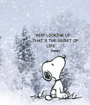 look up snoopy