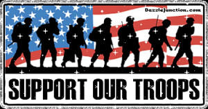 Support Our Troops comment
