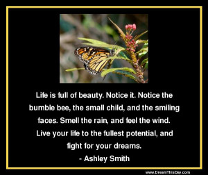 life is full of beauty notice it notice the bumble